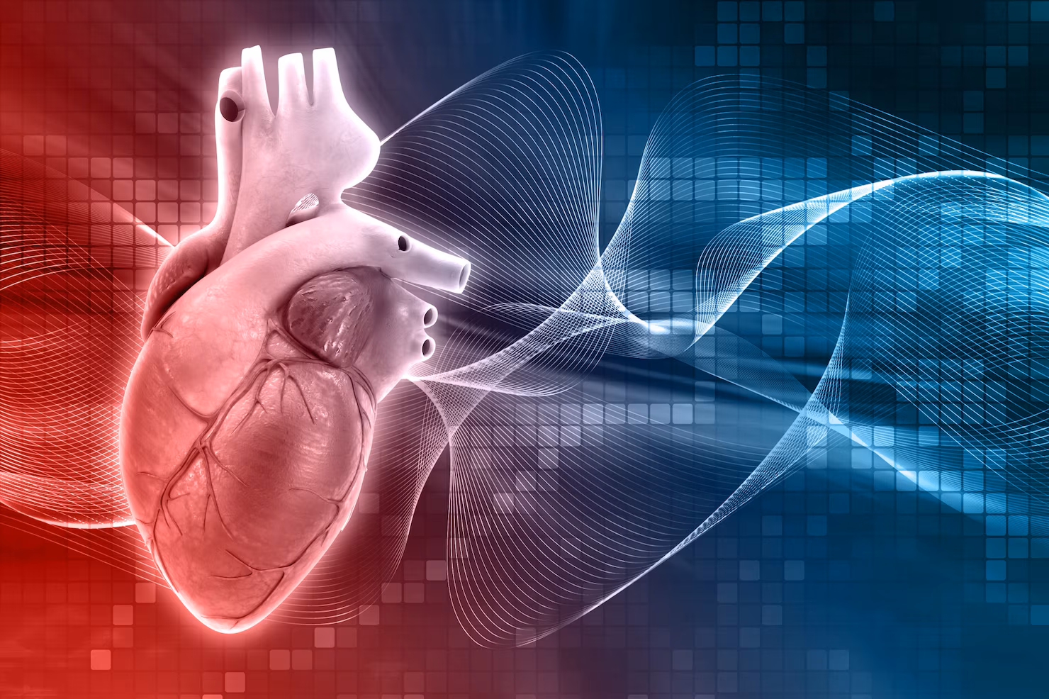 Best Cardiology Hospitals 